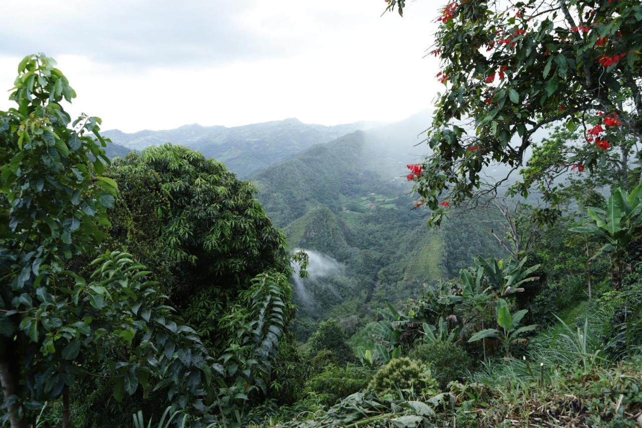 Ecohotel Monteverde ラ・ベガ エクステリア 写真