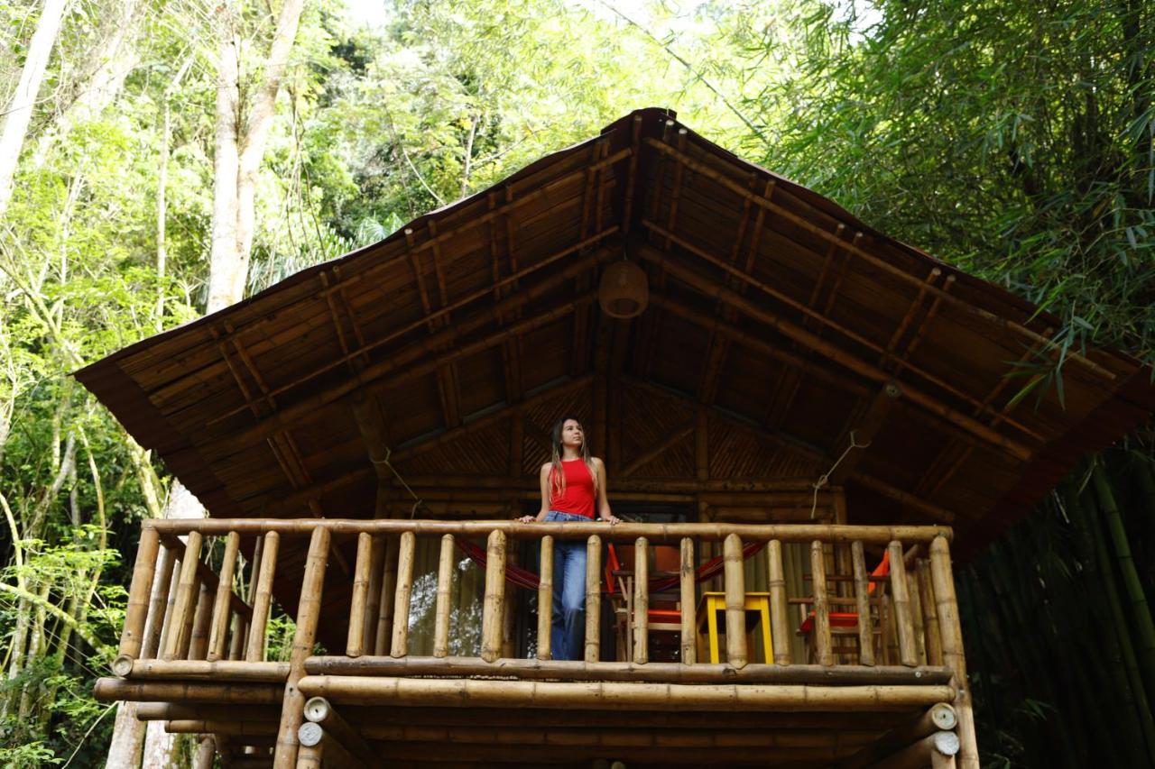 Ecohotel Monteverde ラ・ベガ エクステリア 写真