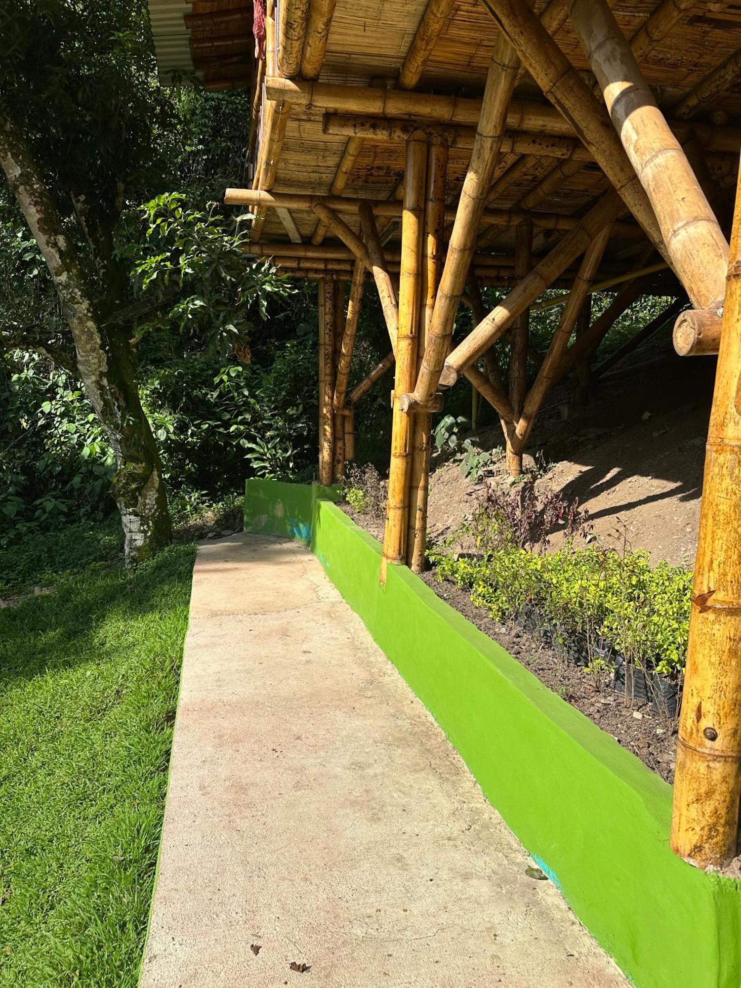 Ecohotel Monteverde ラ・ベガ エクステリア 写真