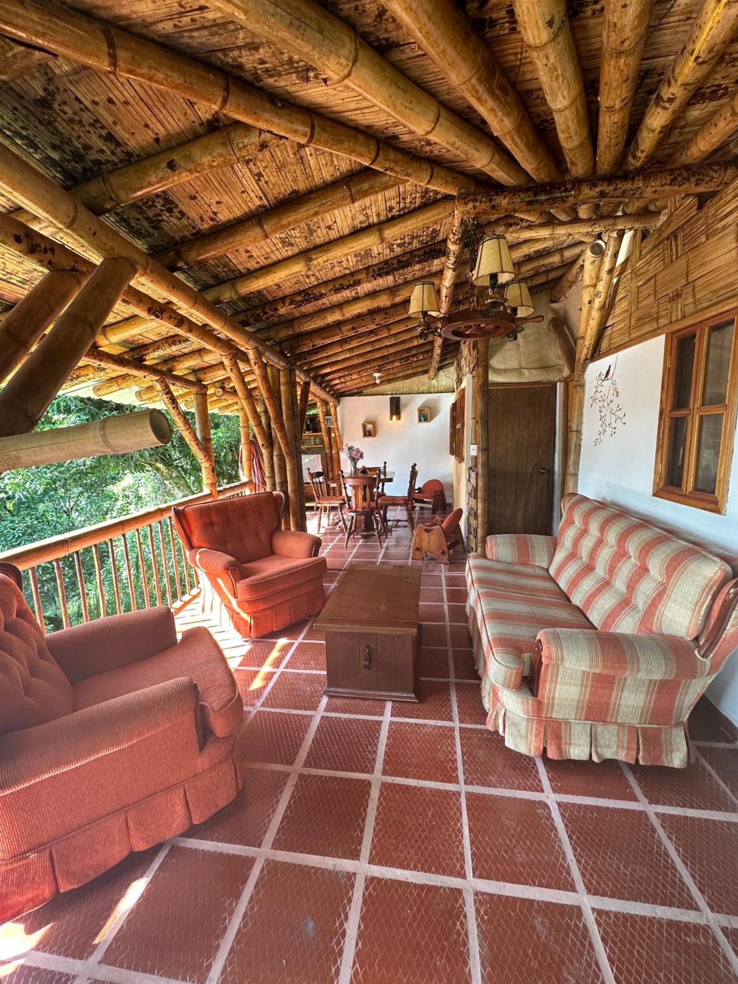 Ecohotel Monteverde ラ・ベガ エクステリア 写真