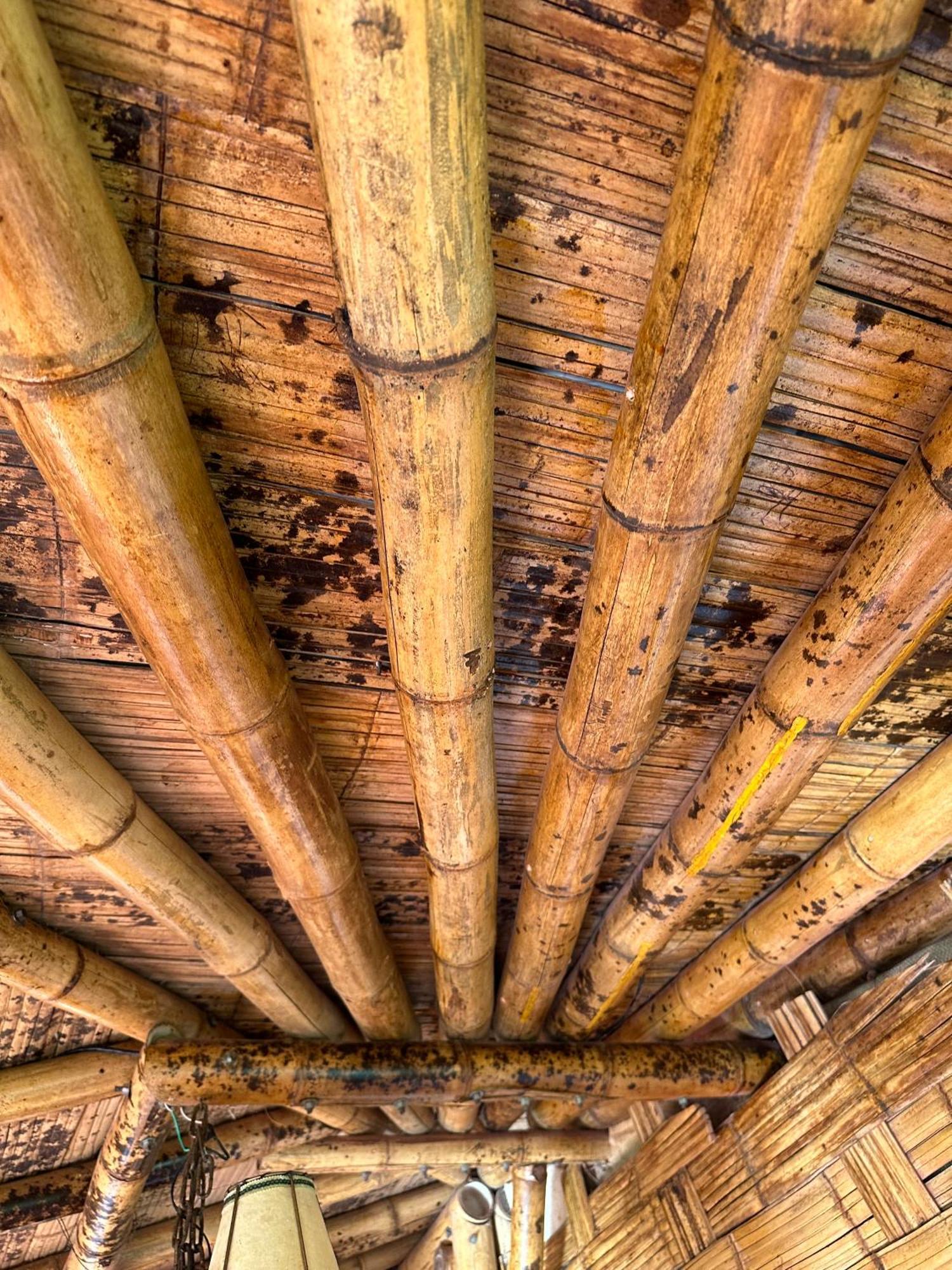 Ecohotel Monteverde ラ・ベガ エクステリア 写真