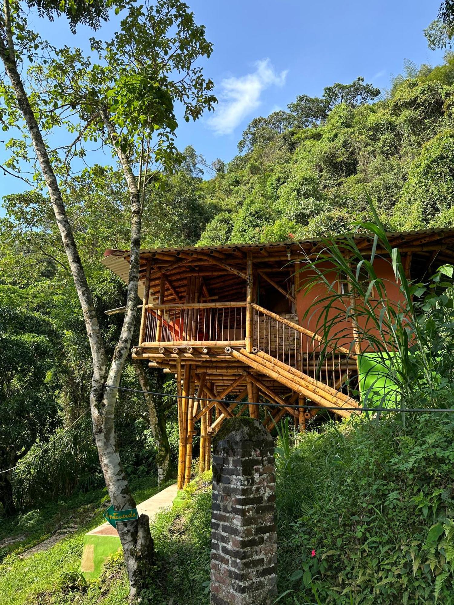 Ecohotel Monteverde ラ・ベガ エクステリア 写真