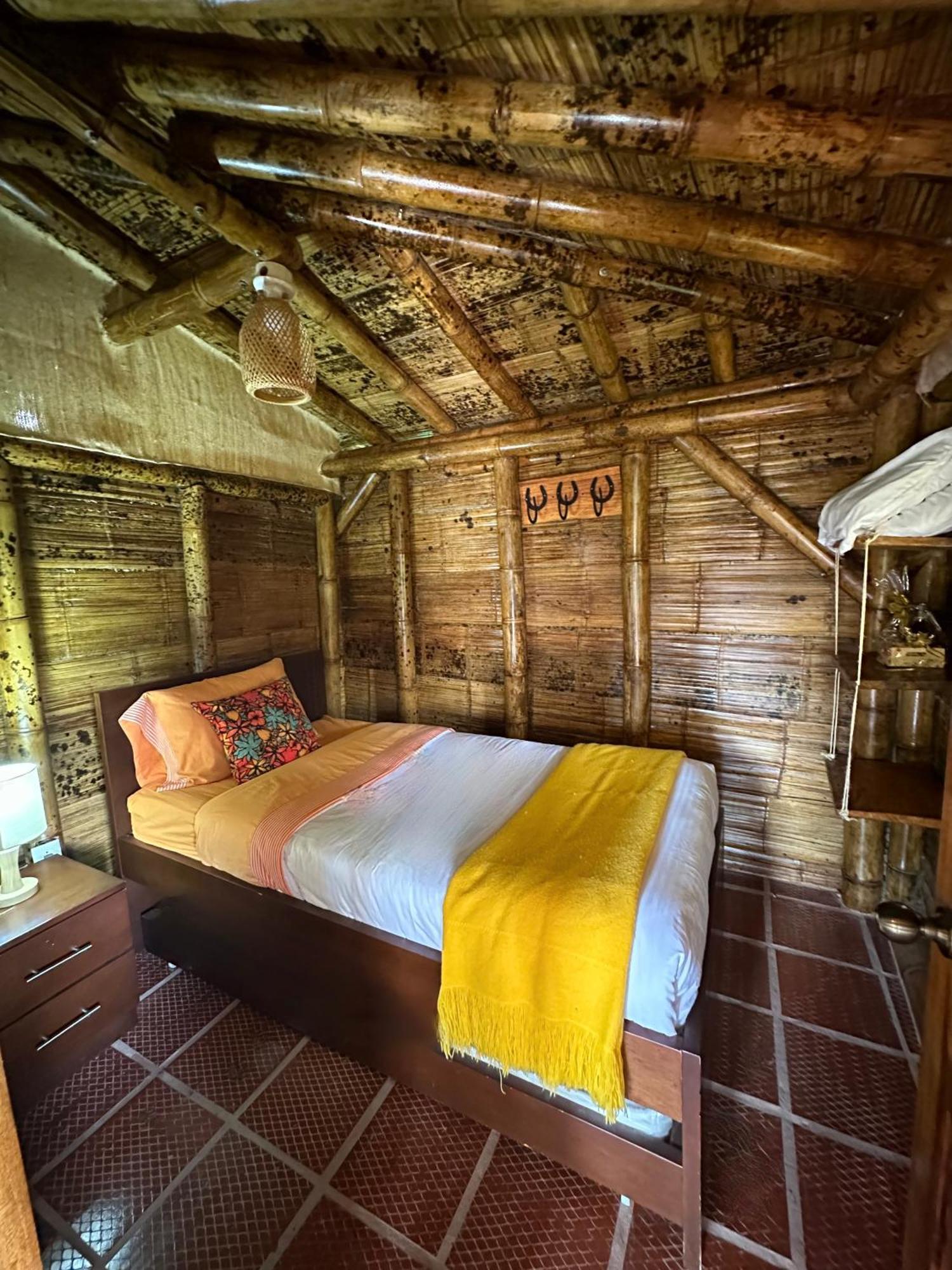 Ecohotel Monteverde ラ・ベガ エクステリア 写真