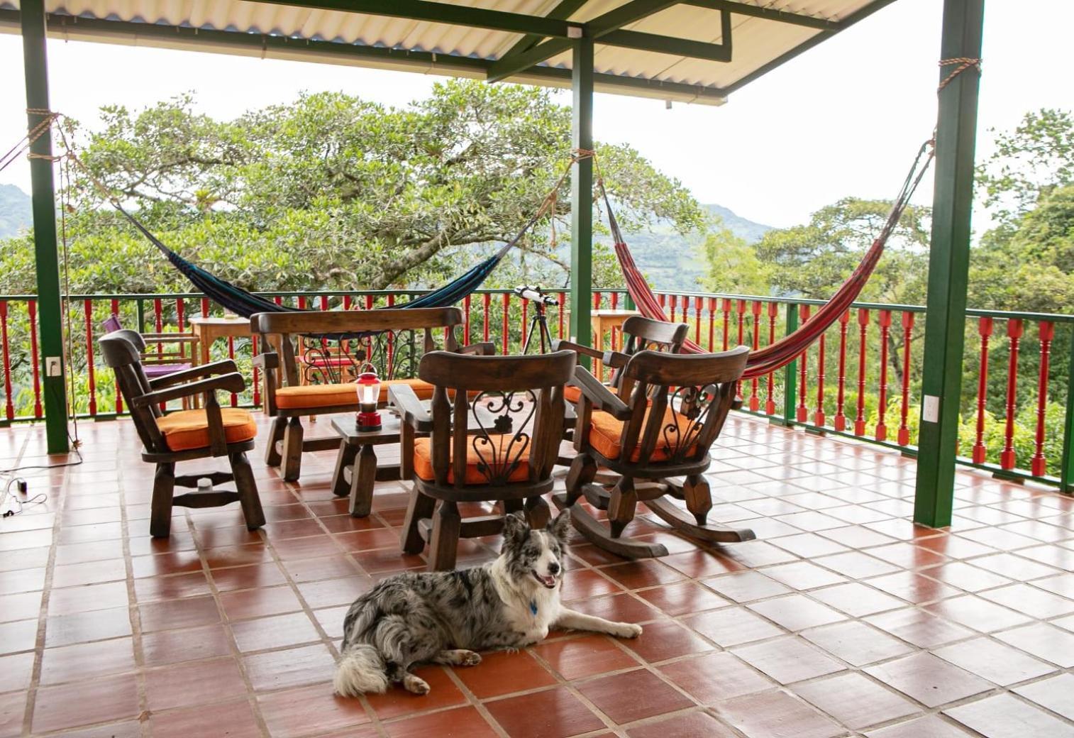 Ecohotel Monteverde ラ・ベガ エクステリア 写真