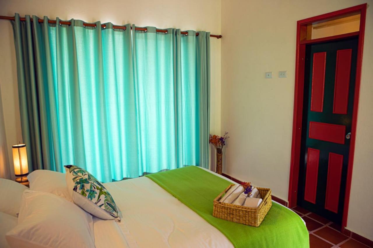 Ecohotel Monteverde ラ・ベガ エクステリア 写真