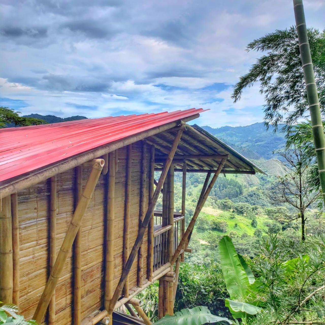Ecohotel Monteverde ラ・ベガ エクステリア 写真