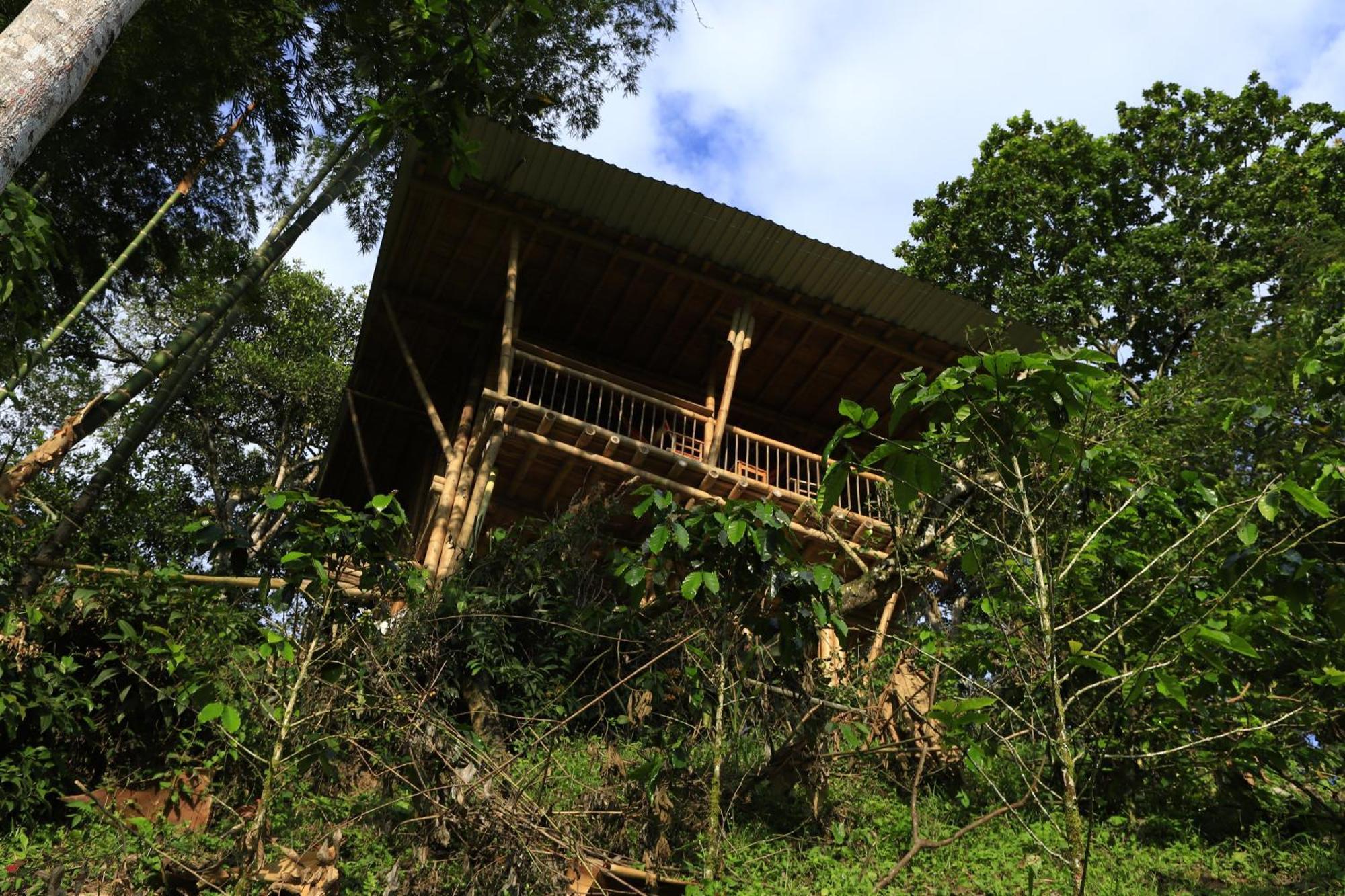 Ecohotel Monteverde ラ・ベガ エクステリア 写真