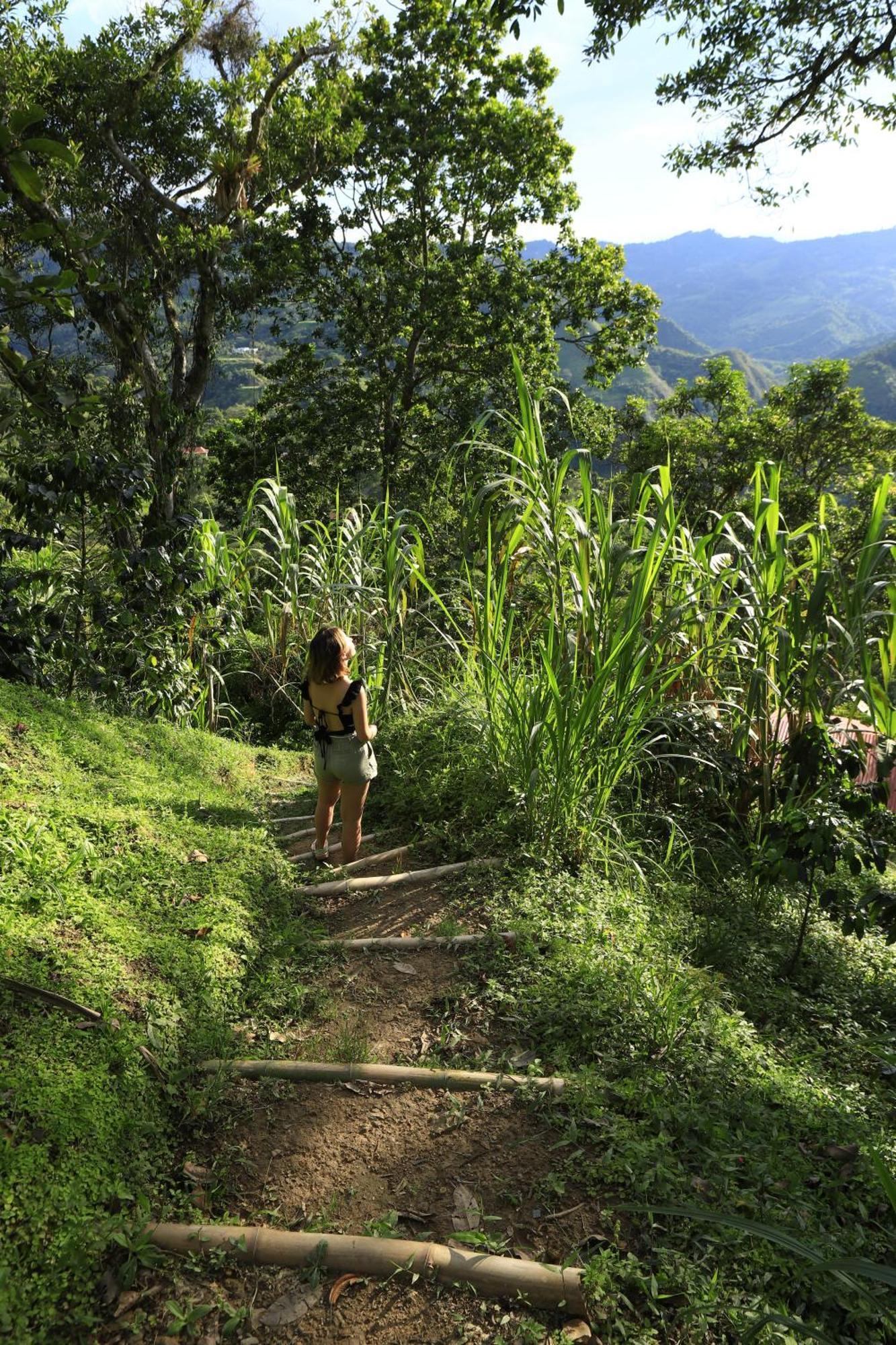 Ecohotel Monteverde ラ・ベガ エクステリア 写真
