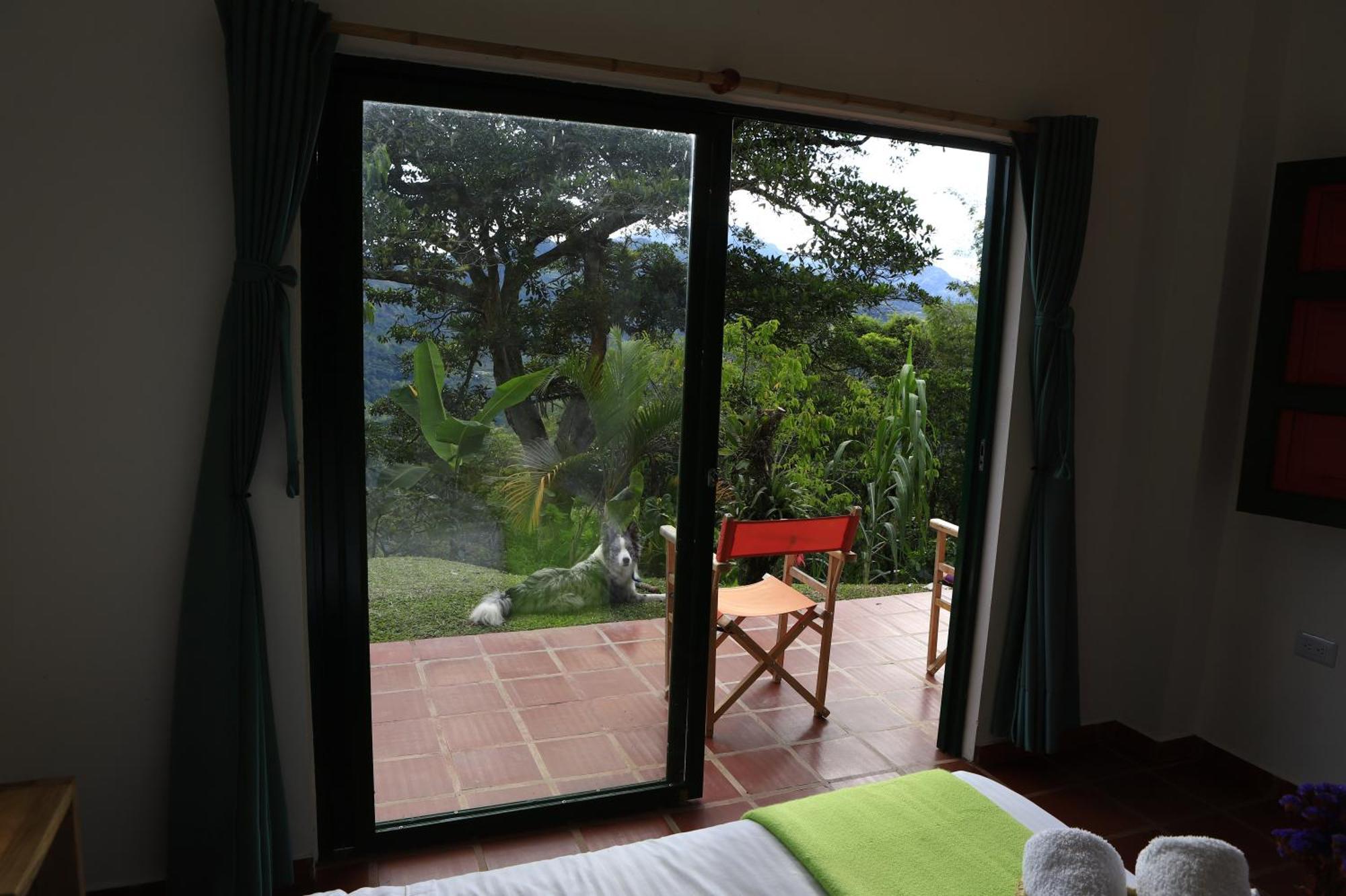 Ecohotel Monteverde ラ・ベガ エクステリア 写真