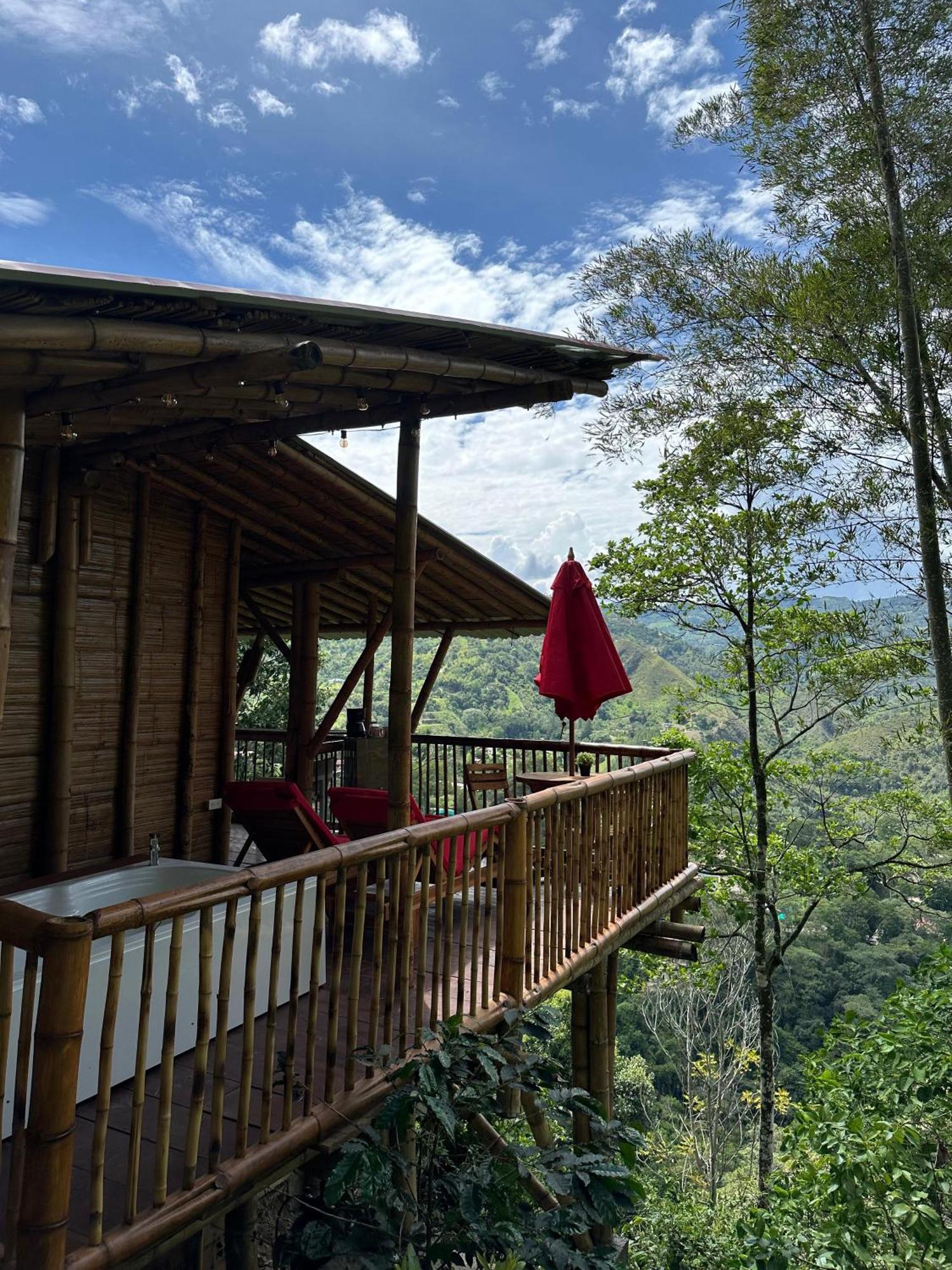 Ecohotel Monteverde ラ・ベガ エクステリア 写真