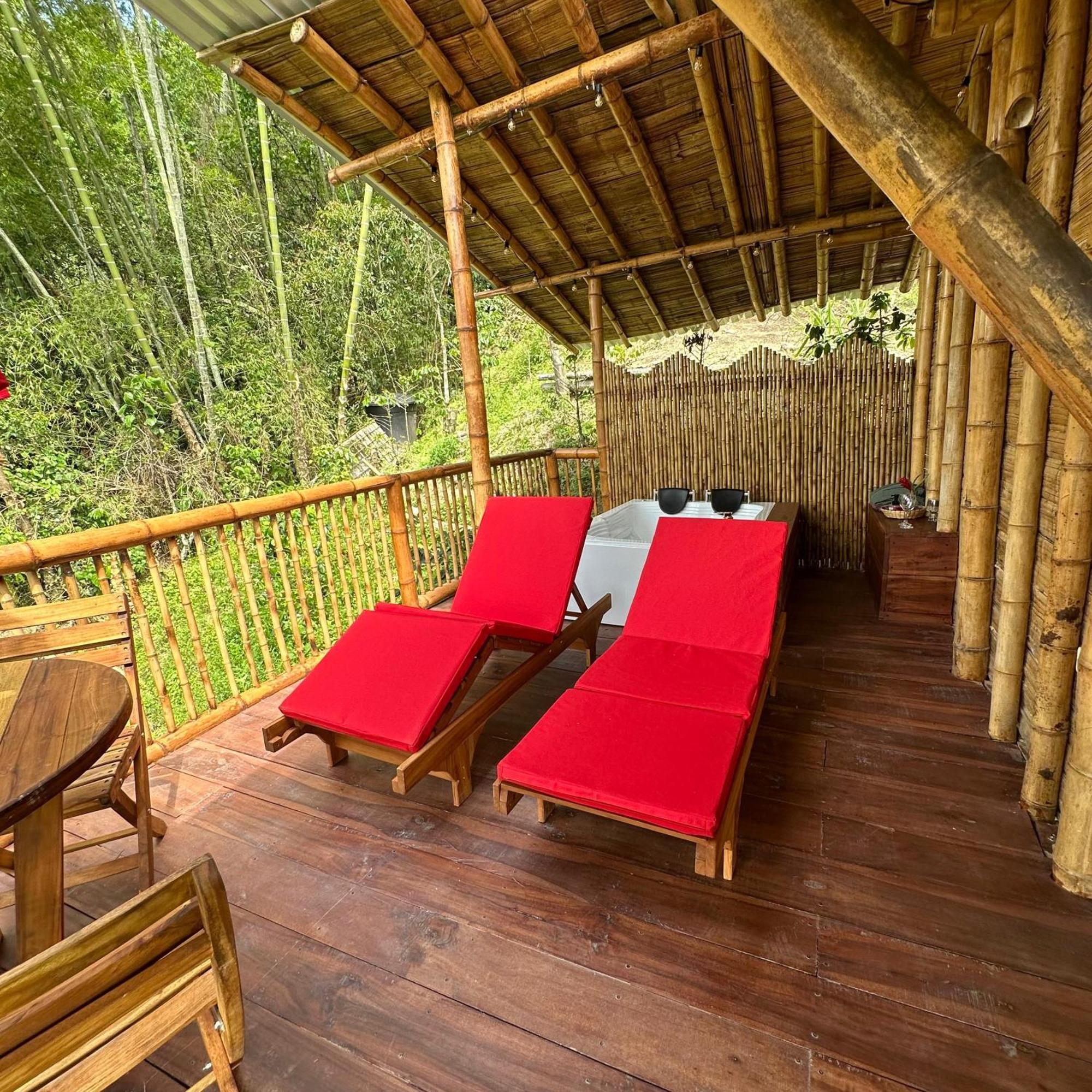 Ecohotel Monteverde ラ・ベガ エクステリア 写真