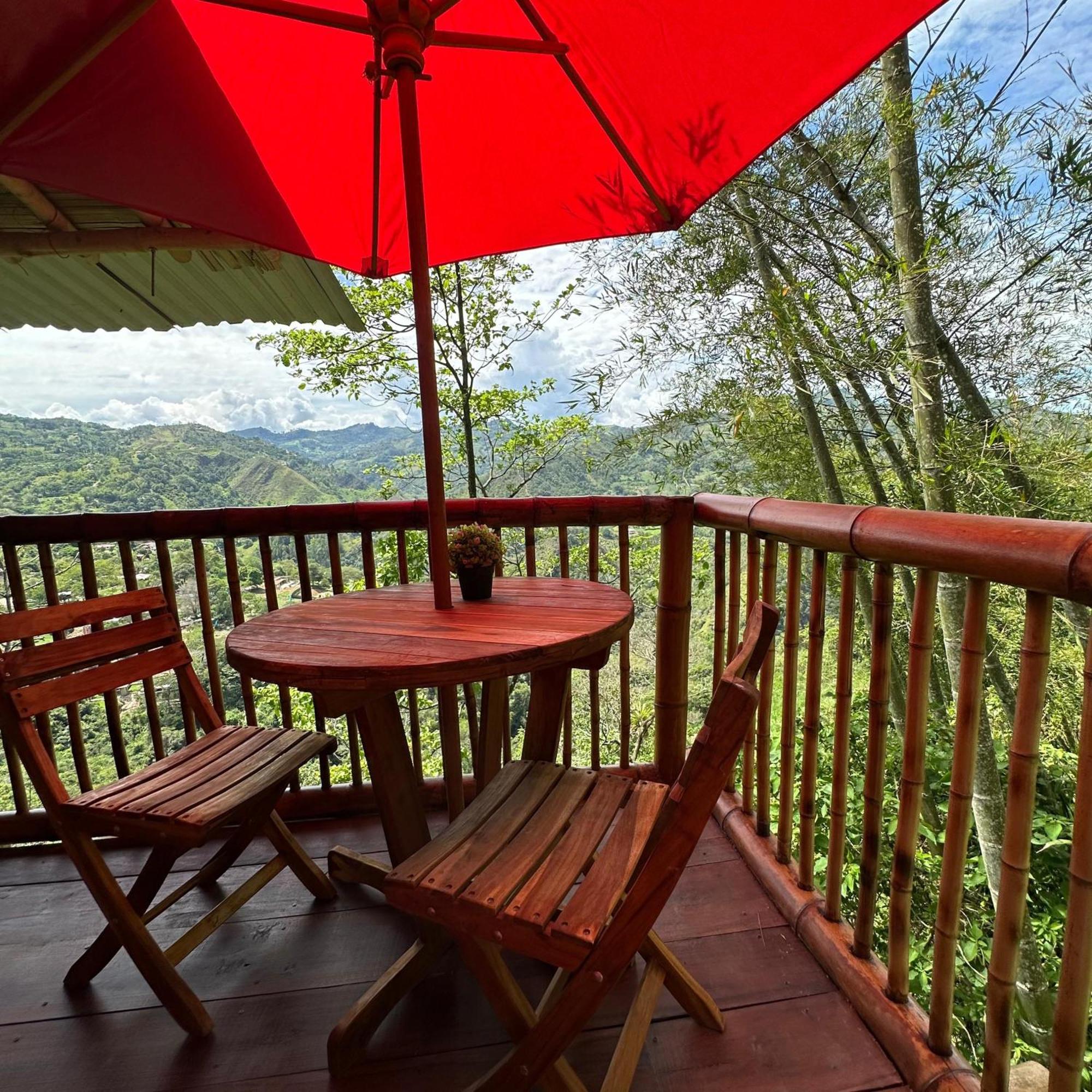 Ecohotel Monteverde ラ・ベガ エクステリア 写真